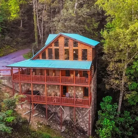 The Circle Of Life, Hot Tub, Theater Room, 1089 Free Tickets Each Paid Day, Dollywood And More!